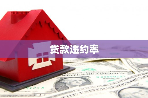 金山贷款违约率