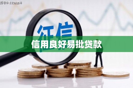 金山信用良好易批贷款
