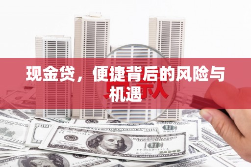 金山现金贷，便捷背后的风险与机遇