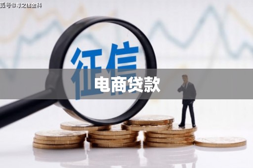 金山电商贷款