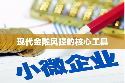 金山现代金融风控的核心工具