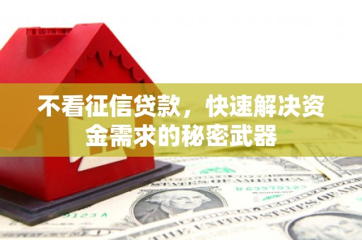 金山不看征信贷款，快速解决资金需求的秘密武器