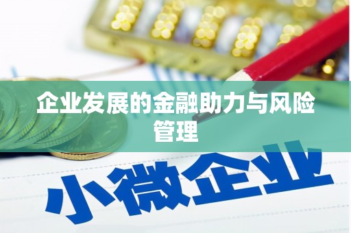 金山企业发展的金融助力与风险管理