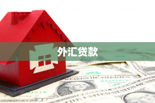 金山外汇贷款
