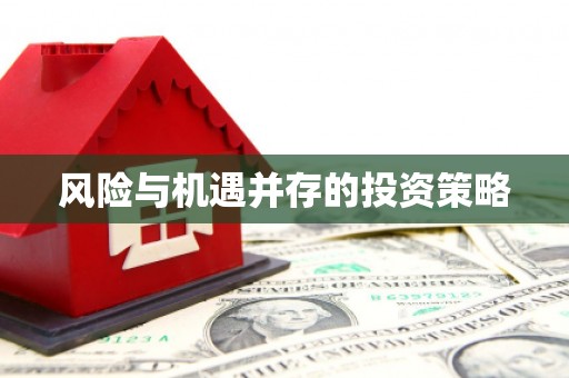 金山风险与机遇并存的投资策略