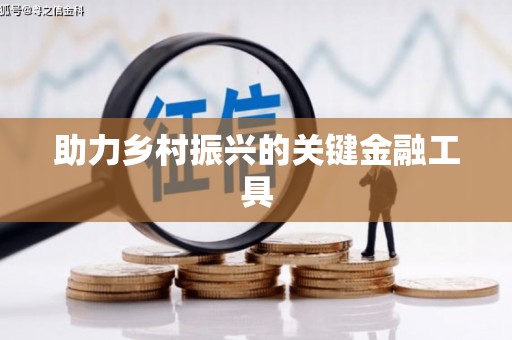 金山助力乡村振兴的关键金融工具