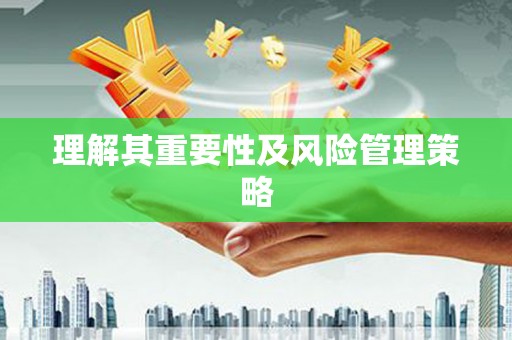 金山理解其重要性及风险管理策略