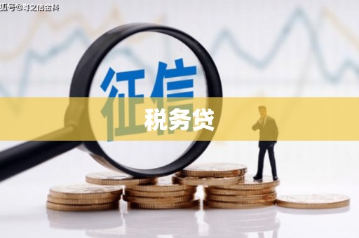 金山税务贷
