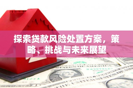 金山探索贷款风险处置方案，策略、挑战与未来展望