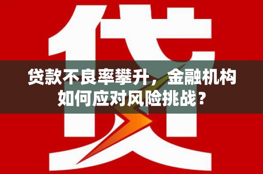 金山贷款不良率攀升，金融机构如何应对风险挑战？
