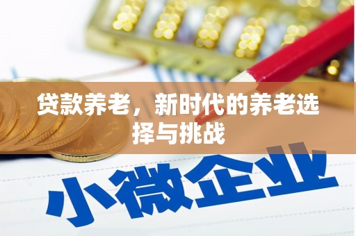金山贷款养老，新时代的养老选择与挑战