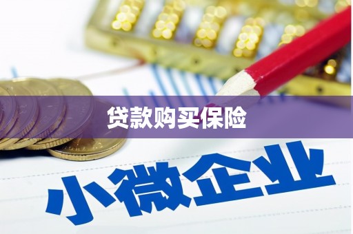 金山贷款购买保险