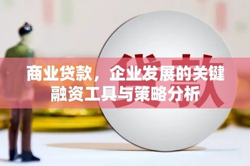 金山商业贷款，企业发展的关键融资工具与策略分析