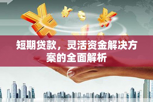 金山短期贷款，灵活资金解决方案的全面解析