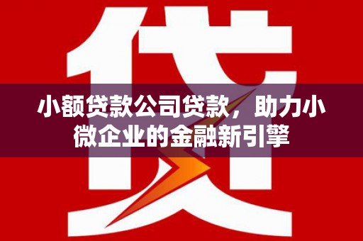 金山小额贷款公司贷款，助力小微企业的金融新引擎