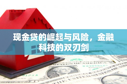 金山现金贷的崛起与风险，金融科技的双刃剑