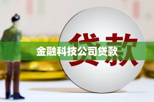 金山金融科技公司贷款