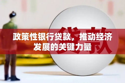金山政策性银行贷款，推动经济发展的关键力量