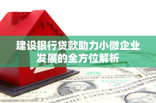 金山建设银行贷款助力小微企业发展的全方位解析