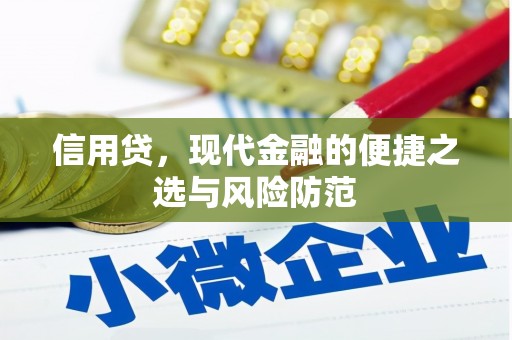金山信用贷，现代金融的便捷之选与风险防范