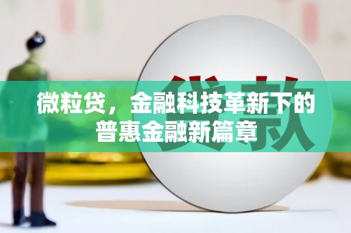 金山微粒贷，金融科技革新下的普惠金融新篇章
