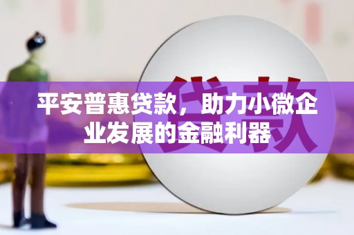 金山平安普惠贷款，助力小微企业发展的金融利器