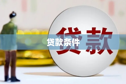 金山贷款条件