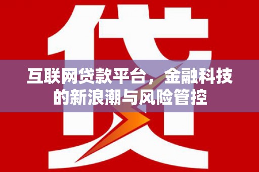 金山互联网贷款平台，金融科技的新浪潮与风险管控