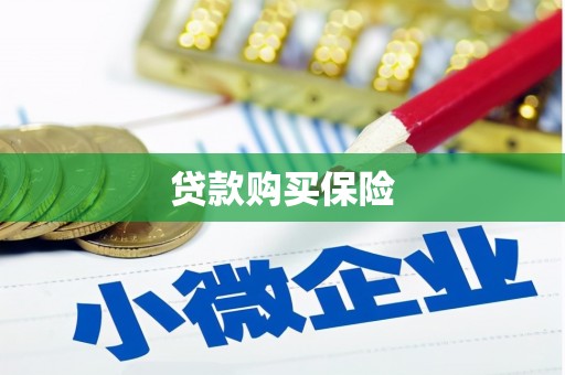 金山贷款购买保险
