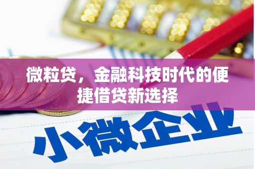 金山微粒贷，金融科技时代的便捷借贷新选择
