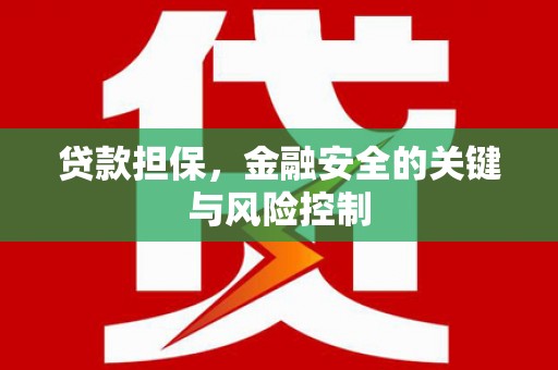 金山贷款担保，金融安全的关键与风险控制