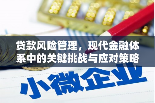 金山贷款风险管理，现代金融体系中的关键挑战与应对策略