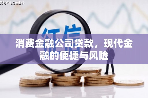金山消费金融公司贷款，现代金融的便捷与风险