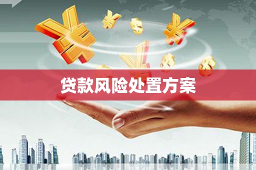 金山贷款风险处置方案