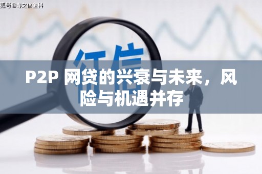 金山P2P 网贷的兴衰与未来，风险与机遇并存