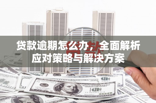 金山贷款逾期怎么办，全面解析应对策略与解决方案