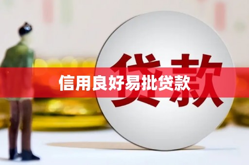 金山信用良好易批贷款