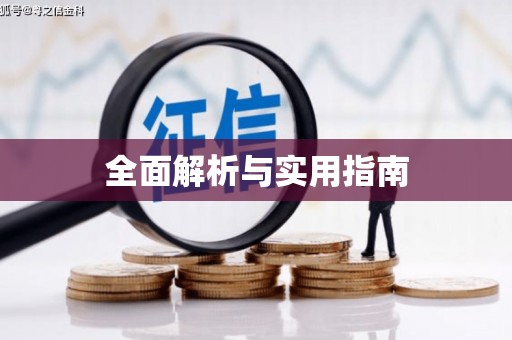 金山全面解析与实用指南