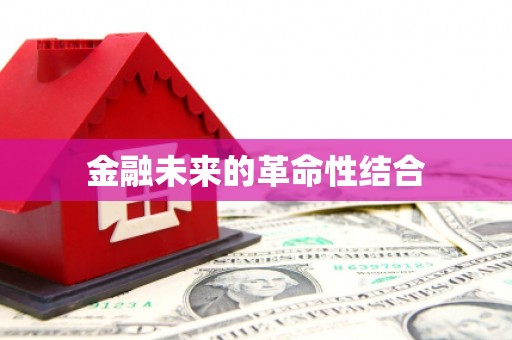 金山金融未来的革命性结合