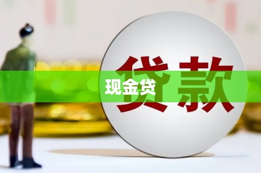 金山现金贷