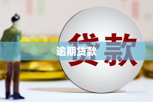 金山逾期贷款